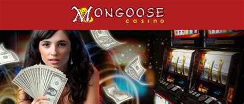Mongoose casino app